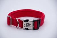 Dog Activity Collar With Engraved Buckle Pet ID Collar