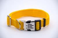 Dog Activity Collar With Engraved Buckle Pet ID Collar