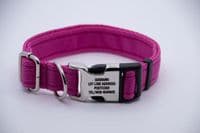 Dog Activity Collar With Engraved Buckle Pet ID Collar