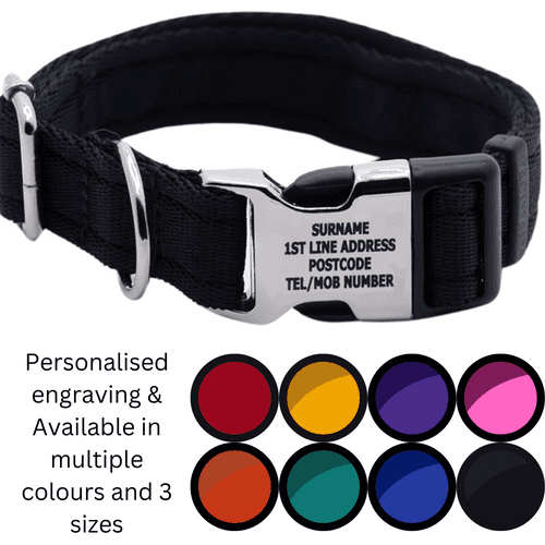 Dog Activity Collar With Engraved Buckle Pet ID Collar
