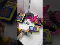 Dog Life 7 Soft Dog Toy Bundle Rope Squeaker Crinkle (BB) - AMAZING BUNDLE