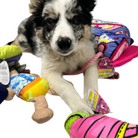 Dog Life 7 Soft Dog Toy Bundle Rope Squeaker Crinkle (BB) - AMAZING BUNDLE