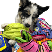 Dog Life 7 Soft Dog Toy Bundle Rope Squeaker Crinkle (BB) - AMAZING BUNDLE