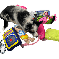 Dog Life 7 Soft Dog Toy Bundle Rope Squeaker Crinkle (BB) - AMAZING BUNDLE
