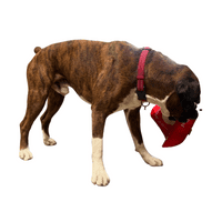 Dog Life Bumper Plate  Disc Large Flyer Crinkle and squeak  Dog Toy Play Disc Throw