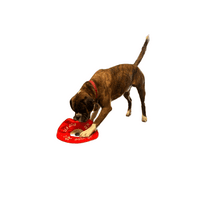 Dog Life Bumper Plate  Disc Large Flyer Crinkle and squeak  Dog Toy Play Disc Throw
