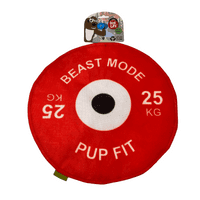Dog Life Bumper Plate  Disc Large Flyer Crinkle and squeak  Dog Toy Play Disc Throw