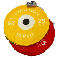 Dog Life Bumper Plate  Disc Large Flyer Crinkle and squeak  Dog Toy Play Disc Throw