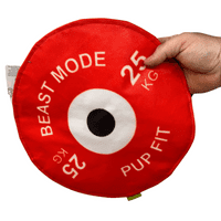 Dog Life Bumper Plate  Disc Large Flyer Crinkle and squeak  Dog Toy Play Disc Throw