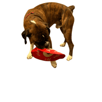 Dog Life Bumper Plate  Disc Large Flyer Crinkle and squeak  Dog Toy Play Disc Throw