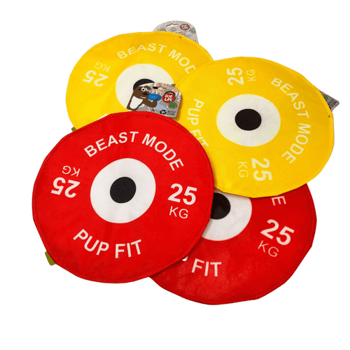 Dog Life Bumper Plate Disc Large Flyer Crinkle and squeak Dog Toy Play Disc Throw