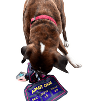 Dog Life Festival Ticket Crinkle Rope Dog Toy Music Festival
