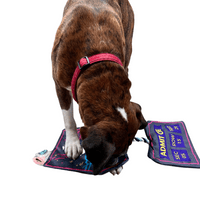 Dog Life Festival Ticket Crinkle Rope Dog Toy Music Festival