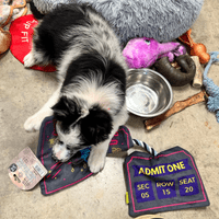 Dog Life Festival Ticket Crinkle Rope Dog Toy Music Festival