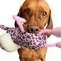 Dude Plush Leopard Print Soft Dog Toy With Rope Arms and Legs