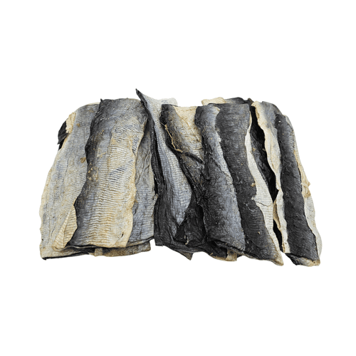 Fish Skin Flatties Dog Chew Pangasius Natural Treat - Pawstrading