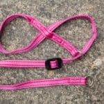 Gencon Head Collar Simple Anti Pull Gentle Stops Pulling dog all sizes colours