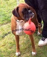 Good Boy Lob It! Latex Space Lobber Dog Toy