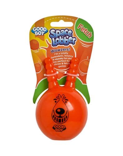 Good Boy Space Lobber TPR Fetch Junior Size