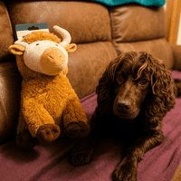Highland Cow XL Plush Dog Toy Super Soft Squeaker 40cm Large Cute Hem and Boo