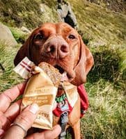 HundEnergy™ MULTIPACK 3 Bars 100% Natural Dog Energy Bars - Plant Based Meat Free