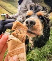 HundEnergy™ MULTIPACK 3 Bars 100% Natural Dog Energy Bars - Plant Based Meat Free