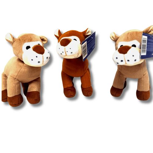 Jolly Jungles Soft Plush Raw Sound Noise Box Dog Toy