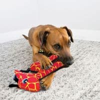 KONG  Ballistic Giraffe Md/Lg Plush Dog Toy - LGF12E