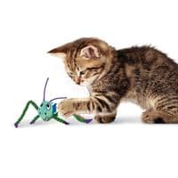 KONG Cat Toy Crackles Grasshopper