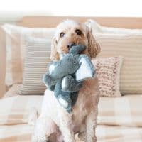 Kong Comfort Kiddos Bear Large