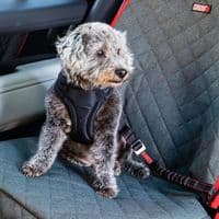 KONG Deluxe Swivel Tether Car Dog Seat Belt