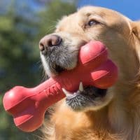 KONG Goodie Bone Red Classic Rubber