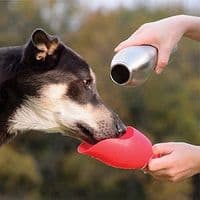 KONG H20 Dog Water Bottle Travel Small / Large