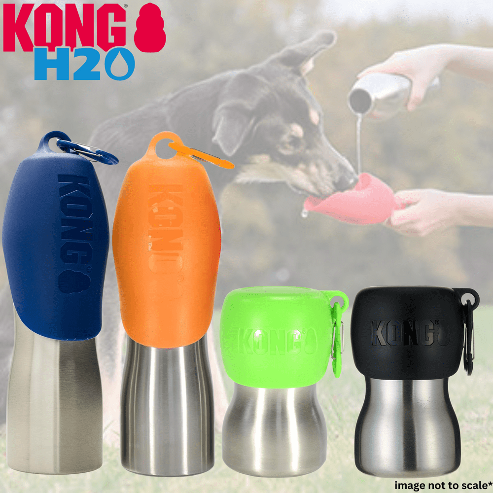 KONG H20 Dog Water Bottle Travel Small Large