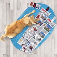 KONG *NEW* Daily Newspaper Crinkle Squeaker 3 Foot Long