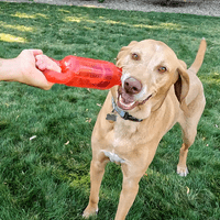 KONG *NEW* Jumbler Tug 2 Sizes Dog Toy Tug Strong Squeaky