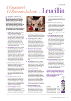 Leucillin Spray - Antiseptic Wound Saray Animal Dog  - Various sizes