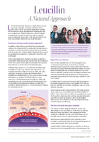 Leucillin Spray - Antiseptic Wound Saray Animal Dog  - Various sizes