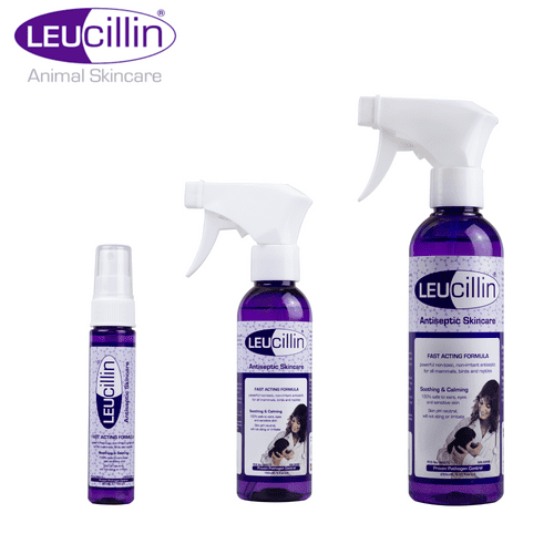 Leucillin Spray - Antiseptic Wound Saray Animal Dog - Various sizes