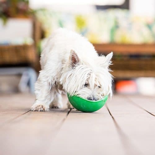 LickiMat Wobble Bowl For Dog Puppy Cat Non Slip