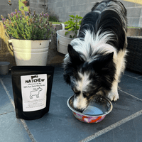 Natchew Goats Milk Powder 250g - Dog Hydration