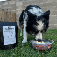 Natchew Grab and Go Goats Milk Powder Sachet Makes 800ml