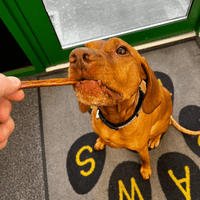 Natchew Meat Sticks – 97% Single Protein Dog Treats (500 g) (Crack Sticks)