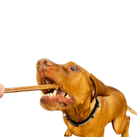 Natchew Meat Sticks – 97% Single Protein Dog Treats (500 g) (Crack Sticks)