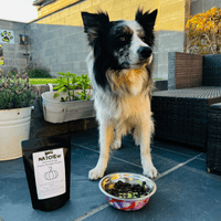 NATCHEW Organic Pumpkin Powder for Dogs – 250g  - Promotes Healthy Bowel Movements