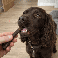 Natchew Single Protein Dog Treat Sausages – 500g Bag - Chicken Free!