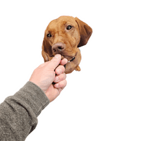 Natchew Soft Training Treats 1kg Poultry Jerky Fish Dog Pup High Value Reward Treat