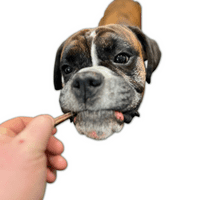 NATURAL CHEWS Skinny Pizzle Bull Bully Stick Beef Dog Chew - SPECIAL