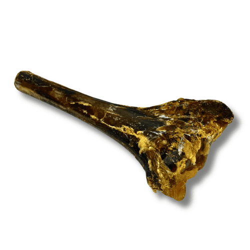 Natural Dog Chew Bone Ostrich TIBIA Treat Long Lasting