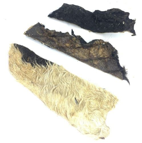 NATURAL Hairy Beef Skin Strips Flats Fur Lengths - 20-30cm - LONG CHEW TIME - Pawstrading Skins